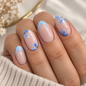 Baby blue bloom