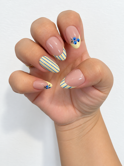 Blueberry buttercup - Medium
