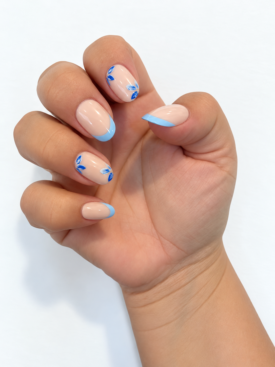 Baby blue bloom
